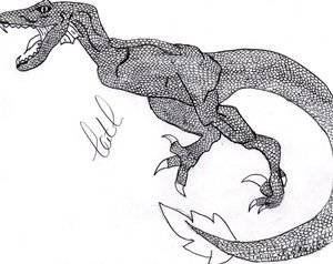 By CatC
07/18/09
This was the character design for Raina and it strongly represents a velosa raptor.... the character is supposed to be all black and has no forearms. I see that there are some mistakes in the picture like the legs which look like they are in awkward positions.... so anyways hope ya like it :)
Keywords: weird