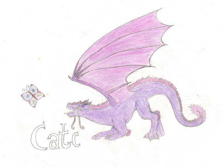 Catc - By Nayru
