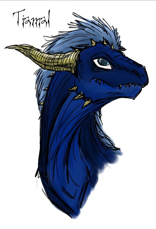 Portrait for Tiamal - By Silveera
