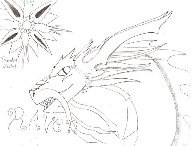 Raven - By Kelsey Kwolek
I drew Raven, her flower is a beautiful  one related to the passion flower. Its called a tundra violet, one of the oddest ones in my world.
Keywords: Head