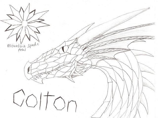 Colton - By Kelsey Kwolek
This is colton as a dragon, his flower is the mountain spade petal. It grows with only a few other flowers and can survive the harshest environments.
Keywords: Head