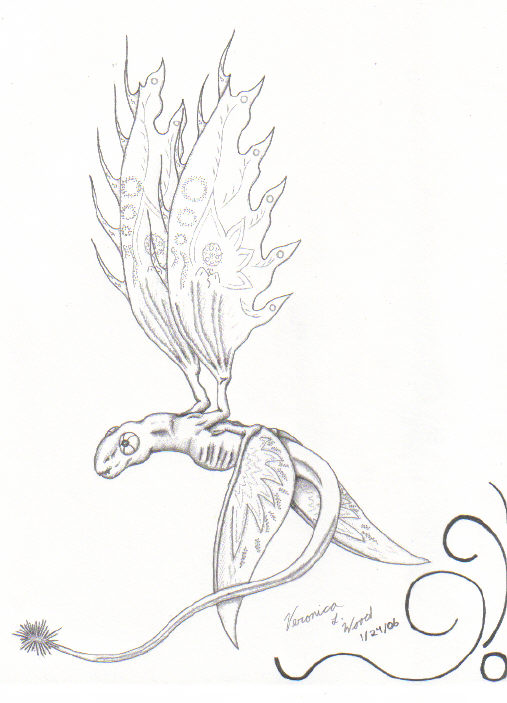 By Sova D. Nagi

