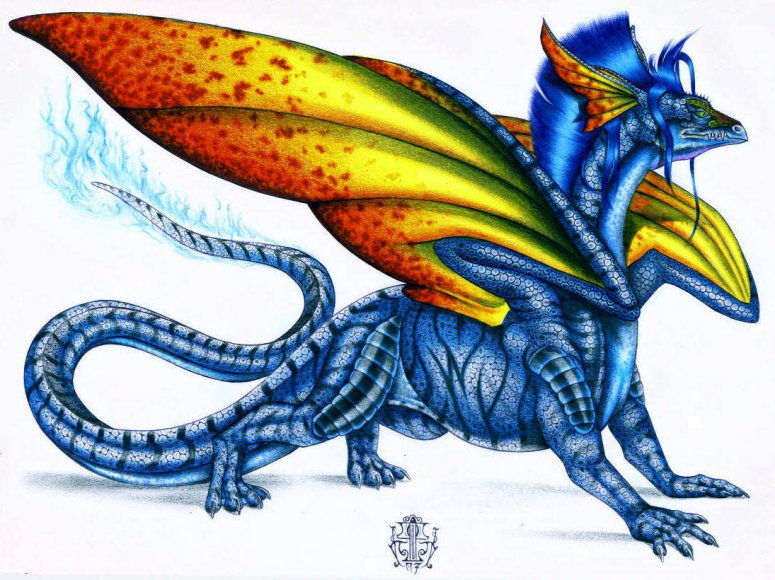 By Raven
