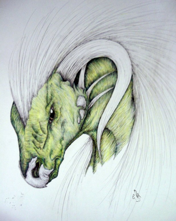 Netherland Dragon - By Makla
A green dragon done in my Netherland style.  I won first place in the colored picture section of my school's art show with this.  Done in colored pencil and pen.
Keywords: Head