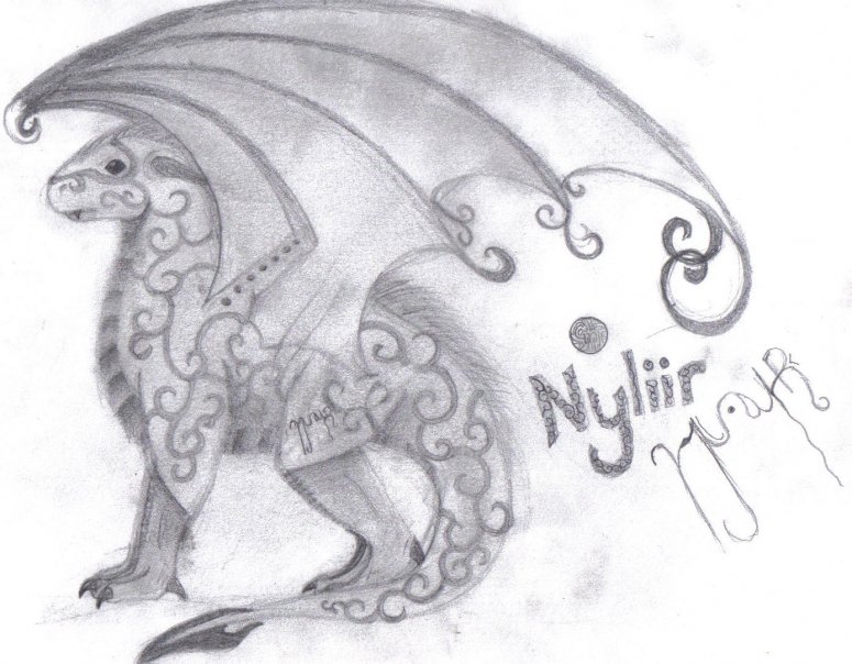 Nyliir - By shrewkin
Just thought that I would point out that my real name is Nyliir:) im not sure if I posted the picture titled shrewkin or not, but if I did that is NOT what i look like, i look like this
