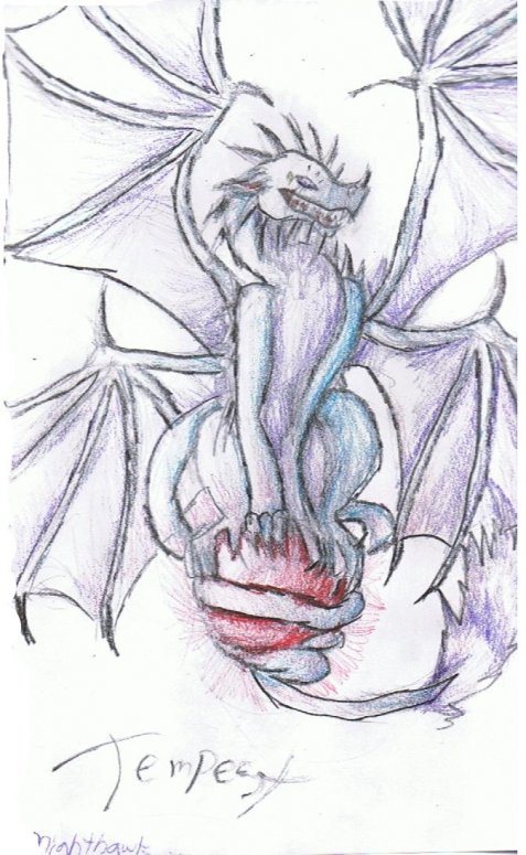By Nighthawk
