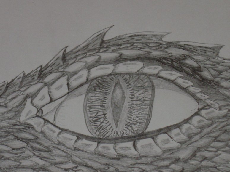 A Look Into A Dragon's Eye - By Brightscales
Keywords: Eye