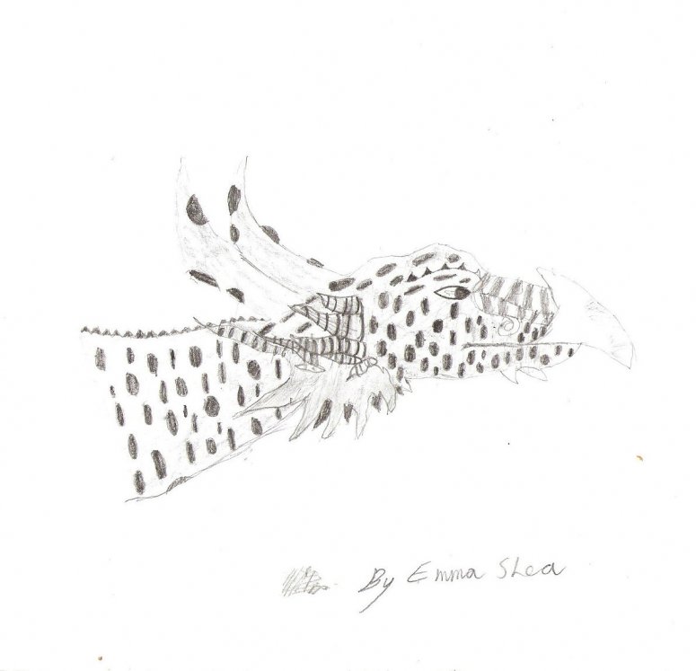 By Akira
right this is quite simply a dragon head down with pure graphite pencils
the scanner has taken away soooo much detail i feel like its butchering my pics

