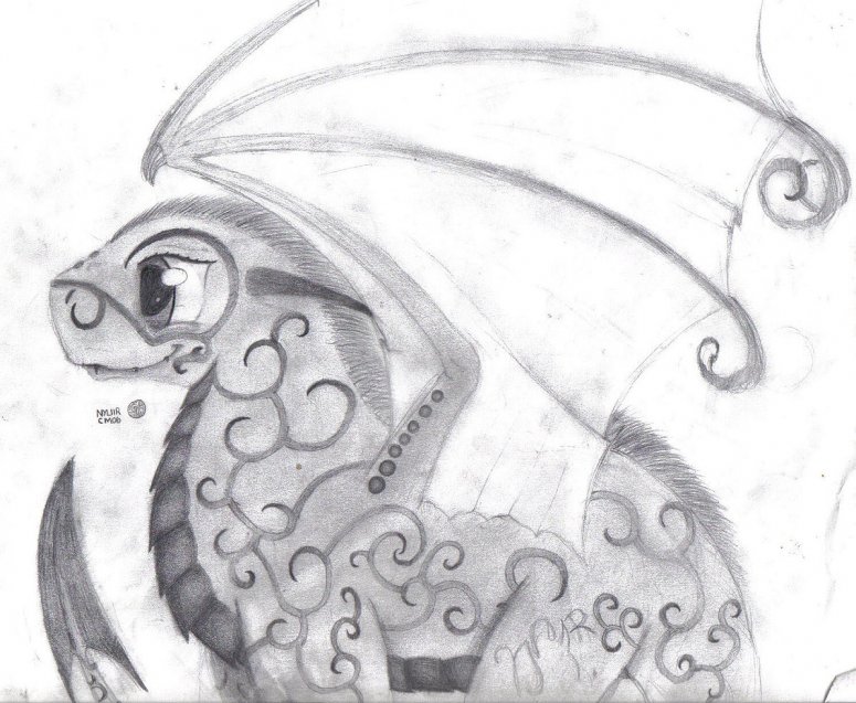 chibi/anime ME! - By Shrewkin A.K.A Nyliir
Look a chibi/anime version of...ME!!!
