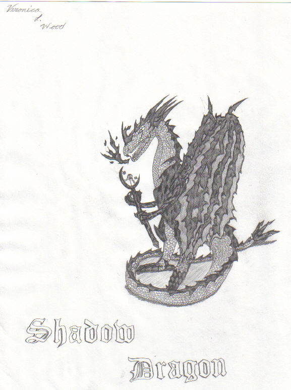 Shadow Dragon - By Novako
