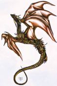 Copperdragon_s_Portrait.jpg