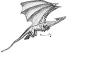 Sam_s_flying_dragon.jpg