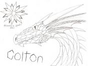colton.jpg