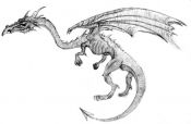 dragon-sketch.jpg