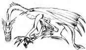 dragon_022.jpg