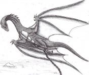 dragon_058.jpg