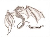 dragon_085.jpg