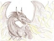 dragon_095.jpg