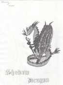 shadow_dragon_002.jpg