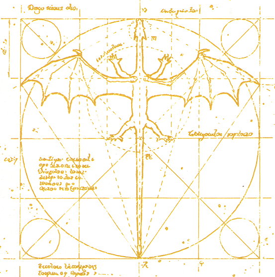 dragon anatomy